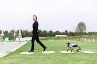Nouveau robot chien bionique à quatre pattes Magic Atom, compagnon intelligent IA, robotique, contrôle à distance par application 5G, interaction émotionnelle, animal de compagnie robotique