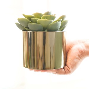 Macetero Metálico de Lujo para Espacios de Vida Exclusivos, Macetero de Acero Hecho a Mano para Diseño de Interiores de Boutique - Product Image 6