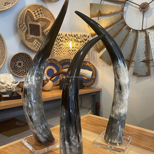 Cuerno de buey africano ecológico de alta calidad, cuerno de búfalo Real para boda, decoración de Navidad, innovador estilo siguiente India FWE - Product Image 2