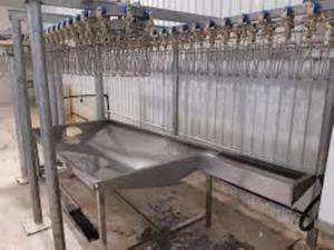 Equipo de Línea de Sacrificio Avícola Totalmente Automático de Calidad Premium para Planta de Procesamiento de Pollo, Alta Eficiencia, Disponible para la Venta - Product Image 4