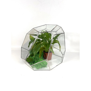 Terrario de Vidrio con Marco de Latón para Plantas Aéreas, Terrario Geométrico Piramidal de Vidrio Teñido al por Mayor, Decoración para el Hogar - Product Image 2