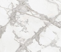 Dalle de porcelaine polie blanche Ingresso, surfaces élégantes effet marbre pour intérieurs de luxe