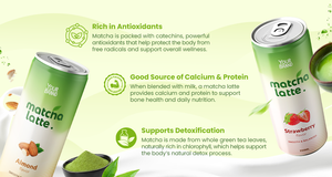 Bebida de Matcha Latte de 250 ml con base de leche láctea, fabricante OEM/ODM en Vietnam – Tan Do Beverage - Product Image 3