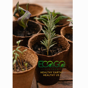 Maceta de Fibra de Coco 100% Natural Biodegradable 2026, Maceta Decorativa para Hogar y Jardín, Venta al Por Mayor - Product Image 6
