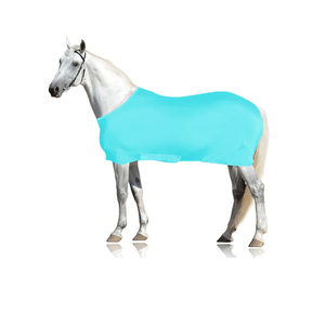 Manta impermeable verde para caballo con gran solapa para la cola y doble cierre en el pecho para uso en exteriores en todas las estaciones - Product Image 6