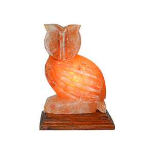 Natural Himalayan Pink Salt Lamp Hand Carved <b>Animal</b> Shape USB LED Night Light Decorative <b>Crystal</b> Rock Salt Table Lamp for Home - Product Image 3