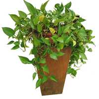 Jardinière moderne à plusieurs niveaux en acier inoxydable, pot de fleurs en métal à plusieurs niveaux, pour l'intérieur et l'extérieur, jardinière décorative de grande taille