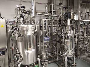 Biorreactor de Acero Inoxidable 304/316 de 500L, Fermentador, Recipiente a Presión, PLC, Producción de Vacunas contra la Enfermedad de Pies y Boca, 5000L - Product Image 5