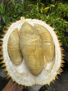 Mitad de Pulpa de Durian Congelada de Primera Calidad, Marca KMI, Envasada al Vacío IQF con Conservación de Agua para Exportación - Product Image 1