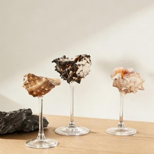 Copa de vino de vidrio y concha marina de aspecto premium a precios competitivos, ideal para exportación y mercados globales. - Product Image 2