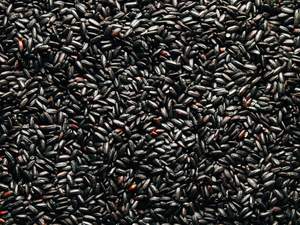Cápsulas Líquidas de Extracto de Arroz Negro 100% Puro, Blanqueamiento de la Piel, Antienvejecimiento, Refuerzo del Sistema Inmunitario, Proveedor de Ingredientes Naturales para la Salud - Product Image 5