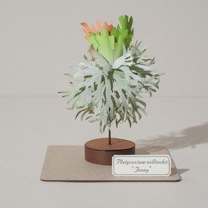 Fantástico Kit de Modelo de Papel Troquelado Hecho a Mano, Miniatura de Planta, 3D, Coleccionable, Rompecabezas, 2026-01 - Product Image 1