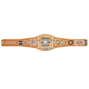 Ceinture de championnat réplique Spinner de John Cena Farewell Tour 2025 Knoxville - Product Image 4