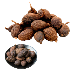 VENTE CHAUDE : Fournisseur vietnamien – Cardamome noire séchée à arôme intense, prix abordable, emballage personnalisé - Product Image 1