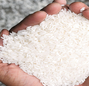 Arroz Blanco Parboilizado IR64 de Primera Calidad Disponible para Exportación, Entrega Rápida, Compre Ahora, Listo para Enviar, en Stock, Austria - Product Image 2