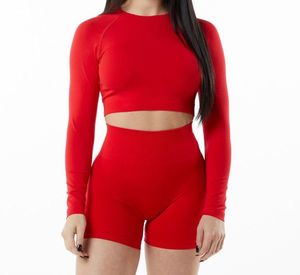 Soutien-gorge de sport sans coutures pour femme, dos nageur, col ras du cou, maintien moyen, pour yoga et fitness, couleur unie, respirant, séchage rapide, anti-transpiration - Product Image 2
