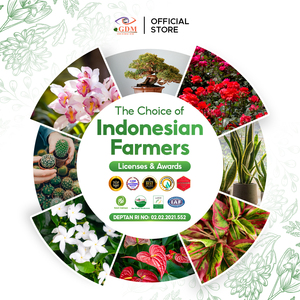 Fertilizante Orgánico Líquido de 2 Litros, Nutrición Floral para Plantas en Maceta, Jardín y Vegetación - Product Image 5