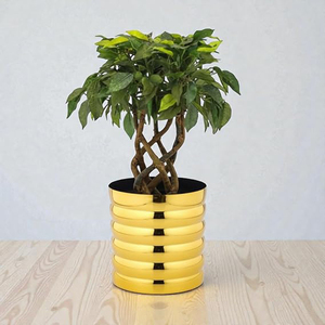 Premium Golden Ribbed Metal Planter Polished Mild Steel Decorative Flower <b>Pot</b> for Indoor Plants <b>Succulents</b> Metal <b>Pots</b> - Product Image 5