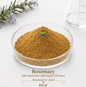 Extrait de romarin (Rosmarinus officinalis) (qualité alimentaire) acide rosmarinique 85% (extrait standardisé) HGO Factory Direct Supply - Product Image 4