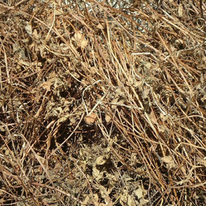 Gelée de plantes naturelle brute du Vietnam pour la production de garnitures de boissons et la création de coupes de gelée végétale soyeuse et lisse - Product Image 4