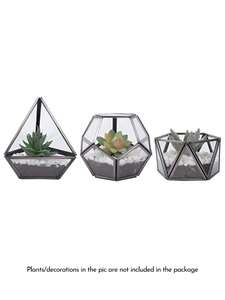 Maceta de Vidrio Pequeña para Suculentas, Plantas Aéreas y Musgo, Decoración Botánica para Hogar, Jardín, Oficina, Bodas, Regalo para Amantes de las Plantas - Product Image 6