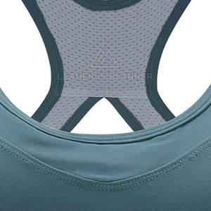 Soutien-gorge de sport pour femme, prix raisonnable, confortable, sans couture, séchage rapide, léger, faible MOQ - Product Image 6