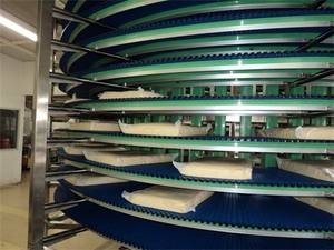 Système <span class=keywords><strong>de</strong></span> convoyeur en spirale pour le refroidissement des aliments <span class=keywords><strong>Tour</strong></span> <span class=keywords><strong>de</strong></span> refroidissement en spirale à bande modulaire - Product Image 4