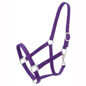 Design Your Own Horse Halter Set-<b>Sunrise</b> Equine Industries Breathable Comfortable Nylon Horse Halter - Product Image 1