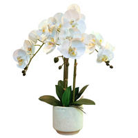 Fournisseur en gros de fleurs d'orchidées artificielles avec design décoratif en pot