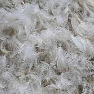 Coussin en plumes de canard blanc 90% (2026) – Rembourrage brut, lavé et propre, en vrac, provenance Vietnam, meilleur prix, modèle VSF-DF - Product Image 2