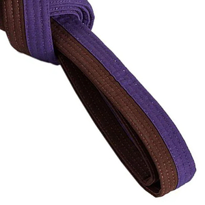 Cinturones de Karate de Alta Calidad para Artes Marciales Unisex, Cinturones de Judo y Jiu-Jitsu con Impresión de Logotipo Personalizado para Todos los Estilos, Cinturón de Karate Bjj OEM - Product Image 2