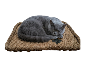 Eco2go Vietnam Vietnam Coconut Fiber Pet Mattress | Sustainable Eco-Friendly Rug for <b>Cats</b> & Dogs - Product Image 1