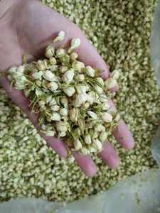 Capullos de jazmín secos naturales de Vietnam, proveedor a granel de ingredientes para té de jazmín - Product Image 2