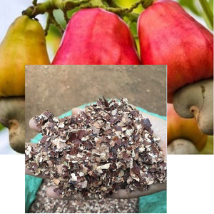 GIA NGUYEN Expédition rapide Granulés de coque de noix de cajou pour l'énergie et l'agriculture Aliment végétal économique pour la fabrication d'engrais Vietnam - Product Image 6