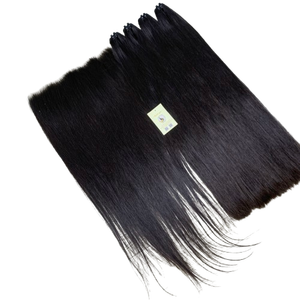 Extensions de cheveux naturels lisses de haute qualité, mèches de cheveux vierges, dentelle suisse brute 13x6 HD, cheveux humains du Vietnam - Product Image 1