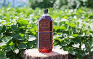Vinaigre de bois naturel Acide pyrolignéux Liquide Conditionneur de sol à base de fumée Répulsif contre les insectes et les maladies fongiques Produit agricole - Product Image 2