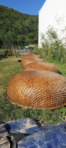 Coracle de Bambú Tradicional Vietnamita, Artesanía Tejida a Mano para Decoración de Playa, Festivales, Exhibiciones en Resorts, Eventos y Celebraciones Costeras - Product Image 4