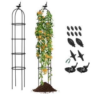 Set di 2 Obelischi da Giardino con Traliccio per Piante Rampicanti, Recinzioni e Cancelli per il Tuo Spazio Esterno - Product Image 1