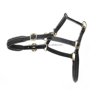 Licou de cheval en cuir rembourré de luxe d'aspect anglais classique avec double boucles et muserolle réglable marchandises équestres de cheval de licou - Product Image 1