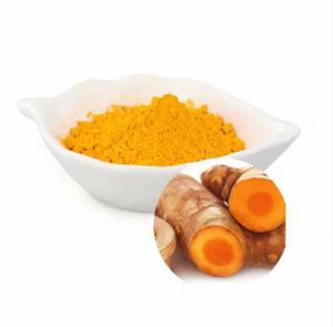 Polvo de Extracto de Cúrcuma de Alta Calidad para Uso Multipropósito en Oferta de Exportador de la India - Product Image 4