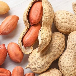 Arachides brutes de haute qualité, non-OGM, en coque, grandes, fraîches, naturelles, prêtes à consommer, disponibles en vrac - Product Image 1