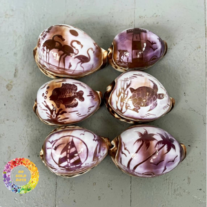 Polished Durable Vietnam Ocean Tiger Cowrie <b>Abalone</b> Snail Conch <b>Shells</b> Half Piece Wholesale Crafts Furniture Decoration Natural - Product Image 4