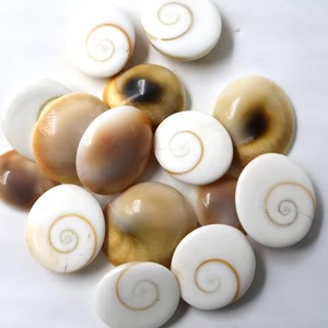 Vente en gros de bijoux artisanaux en pierre Œil de Shiva, petite taille, Gomti Chakra avec coquillage marin sculpté en cristal - Product Image 1