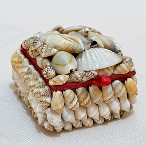 Ocean-inspired jewellery organizer seashell <b>trinket</b> candy box cheap price decorative sea shell <b>boxes</b> - Product Image 3