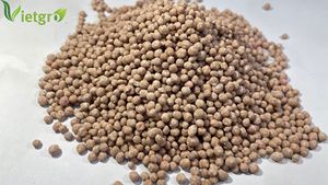 Engrais composé NPK Amino 15-5-20+TE - Engrais granulaire - Couleur : Brun - 25KG - OEM - Product Image 3
