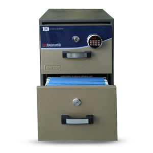 Fireproof Filing Cabinets KOREA FRC2 LED Brown - Product Image 3