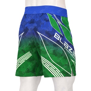 Pantalones Cortos de MMA Blaze Fight Wear, Totalmente Personalizables, Ecológicos, Ligeros, Elásticos en Dos Direcciones, Impermeables, de Secado Rápido, con Panel Elástico en el Entrepierna - Product Image 2
