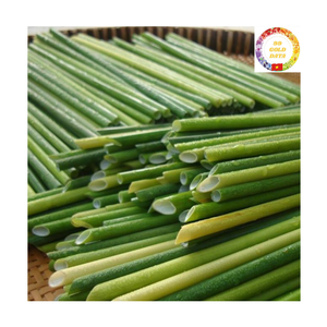Wholesale Biodegradable Grass <b>Straws</b> | Natural Material Eco Friendly | Disposable | <b>For</b> Cold <b>Drinks</b> Beach Bar - Product Image 4
