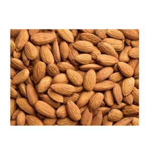 Healthy snack top grade organic almond <b>kernels</b> shelled almonds <b>nuts</b> in bulk - Product Image 1