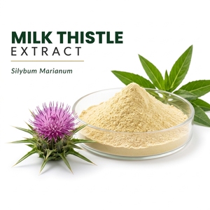 Extracto de Cardo Mariano (Silybum Marianum) en Polvo, Extracto de Planta para Suplemento Dietético y Formulación Herbal - Product Image 1